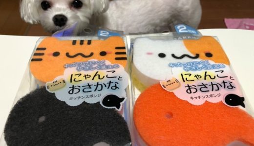 100円ショップ「キャン★ドゥ」で見つけたネコ雑貨！
